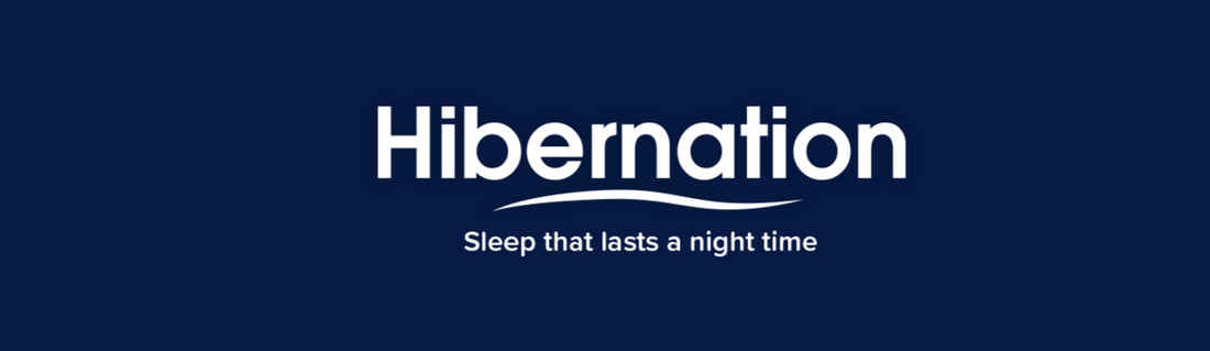 Introducing Our Brand New Hibernation Mattresses